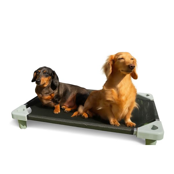 caminha empilhavel fundo branco com cachorro